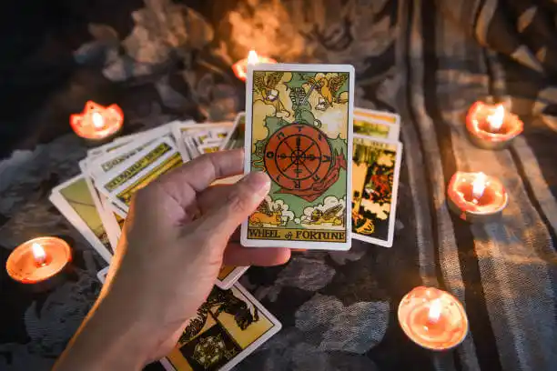 tarot cards Brevard